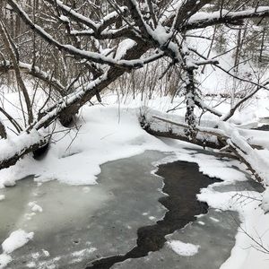 Meet your Posher, Shelby